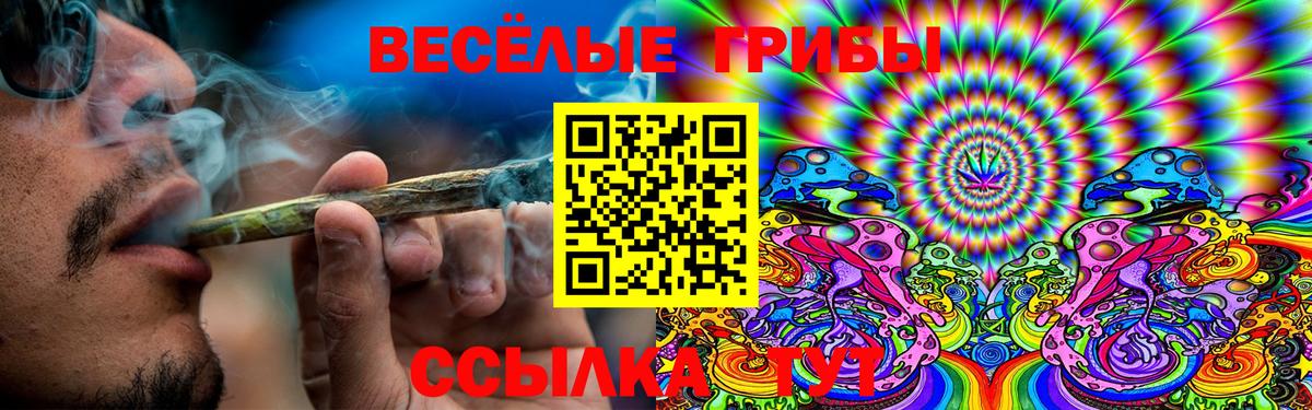 Сухой Лог  купить наркотики сайты  Вход с VPN  Галлюциногенные грибы MAGIC MUSHROOMS 
