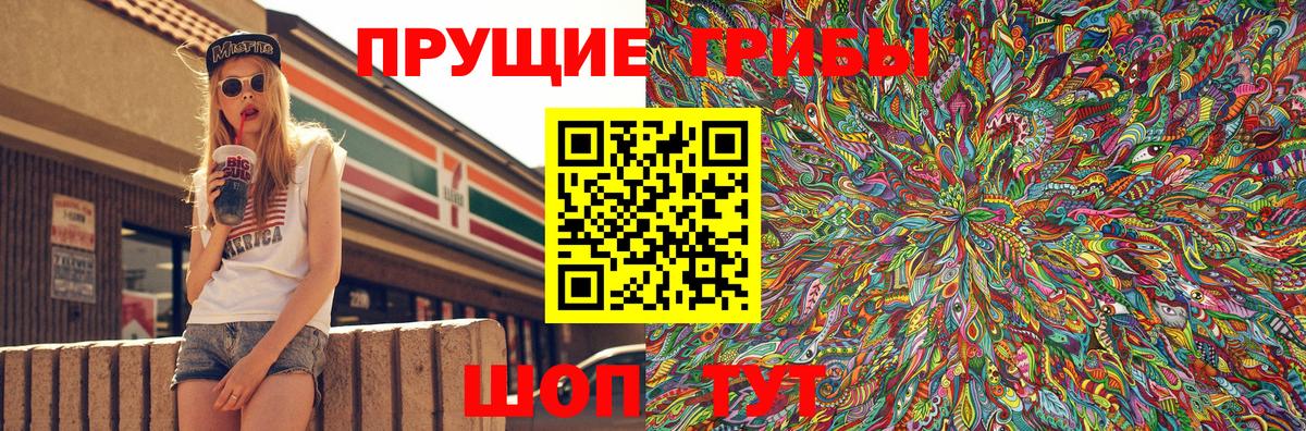 Псилоцибиновые грибы Psilocybine cubensis Сухой Лог